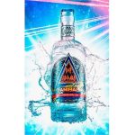 Def Leppard Animal London Dry Gin 700ML - Image 2