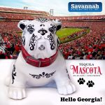 Mascota Tequila Blanco - Image 2