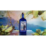 Tulchan Gin - Image 3