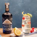 Warner's Harrington Dry Gin - Image 2